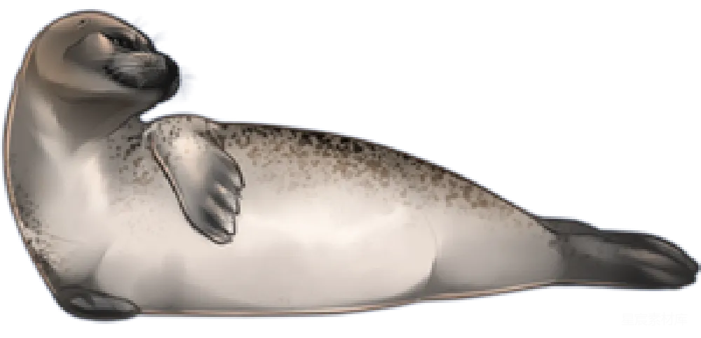 元素素材 PNG