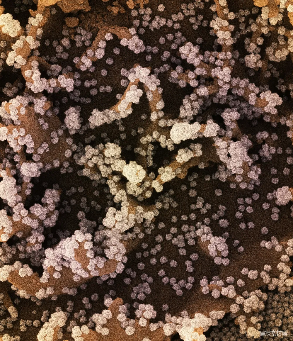 高清摄影  一部手机的特写，上面有圆点。