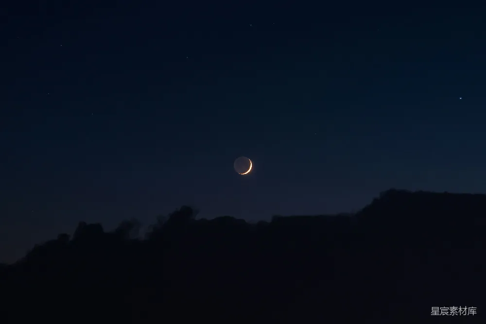 高清摄影  夜晚树木的剪影