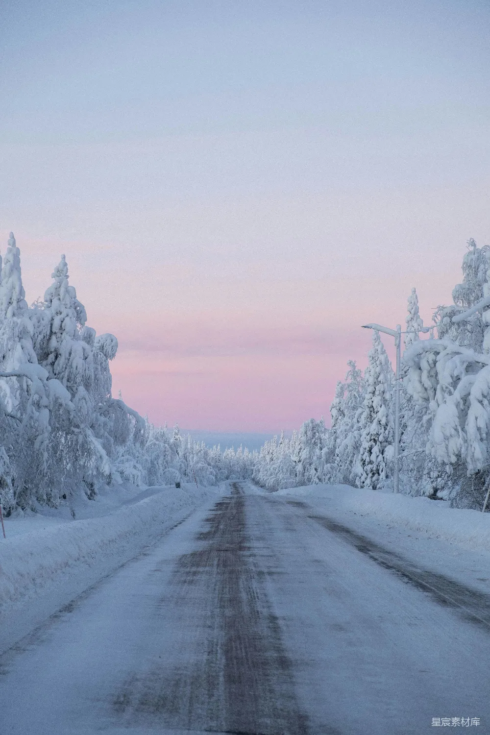 高清摄影 自然 白天的积雪覆盖的树木和道路