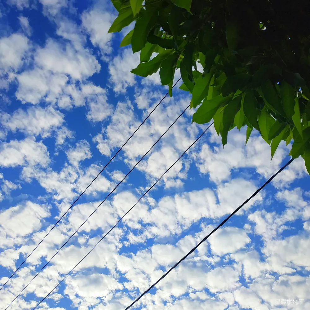 高清摄影  一根电话杆和天空中的几朵云