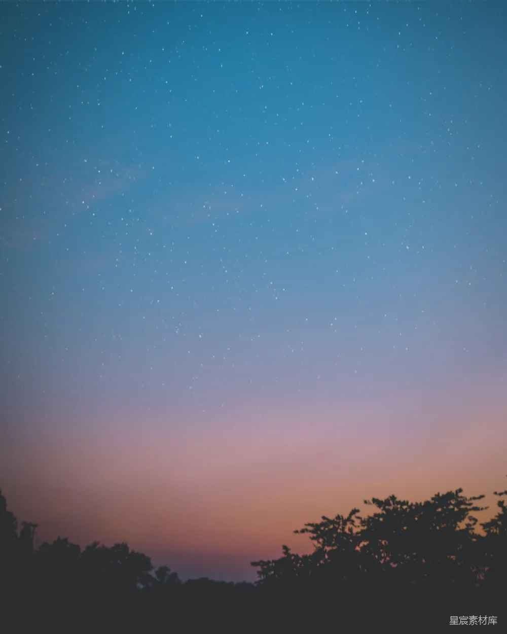 高清摄影  一个夜晚的天空，前景中有星星和树木。