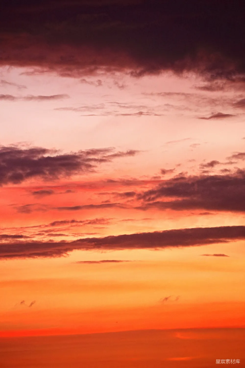高清摄影 壁纸 一架飞机在夕阳下飞过天空。