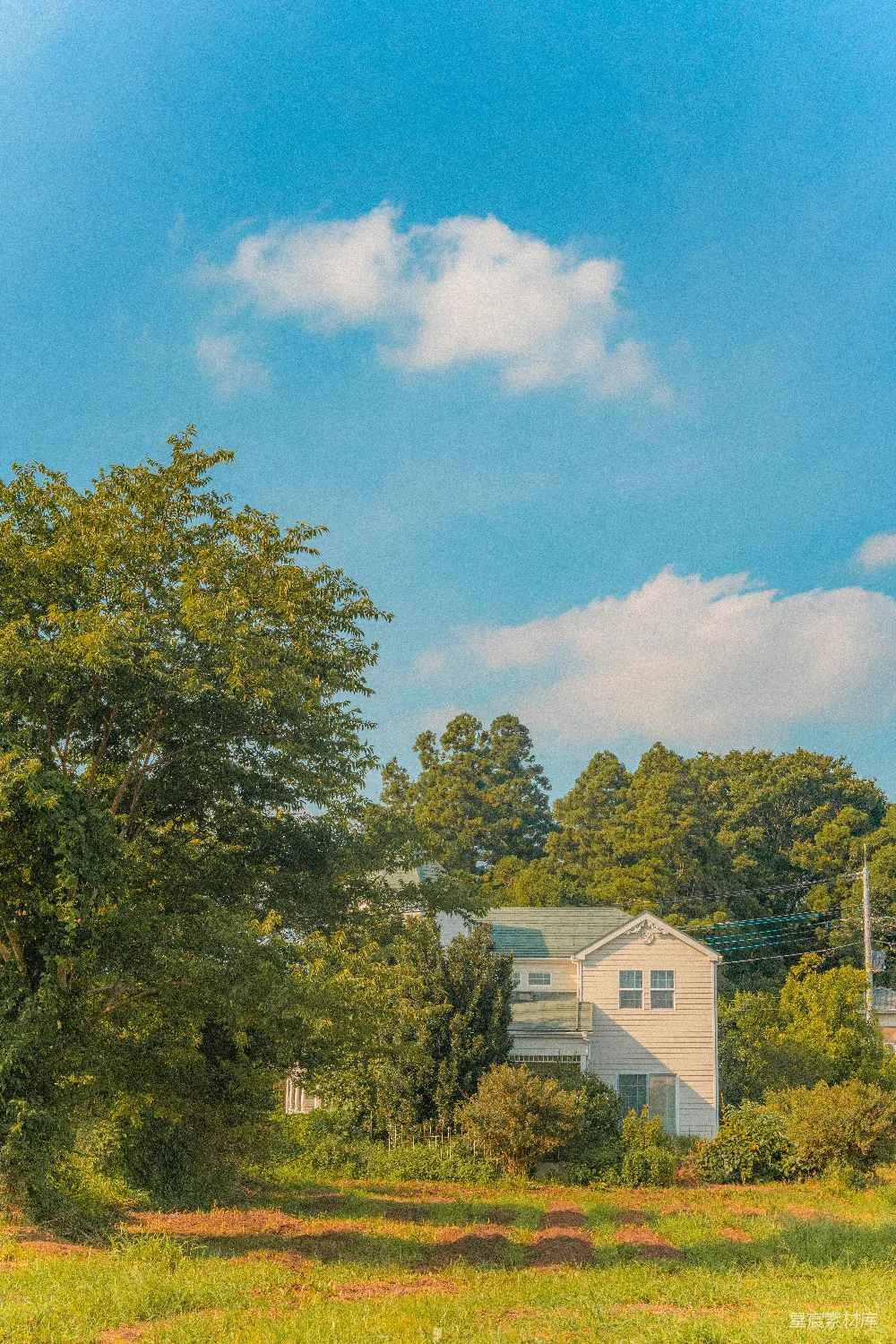 高清摄影  白天，白色混凝土建筑旁的绿树
