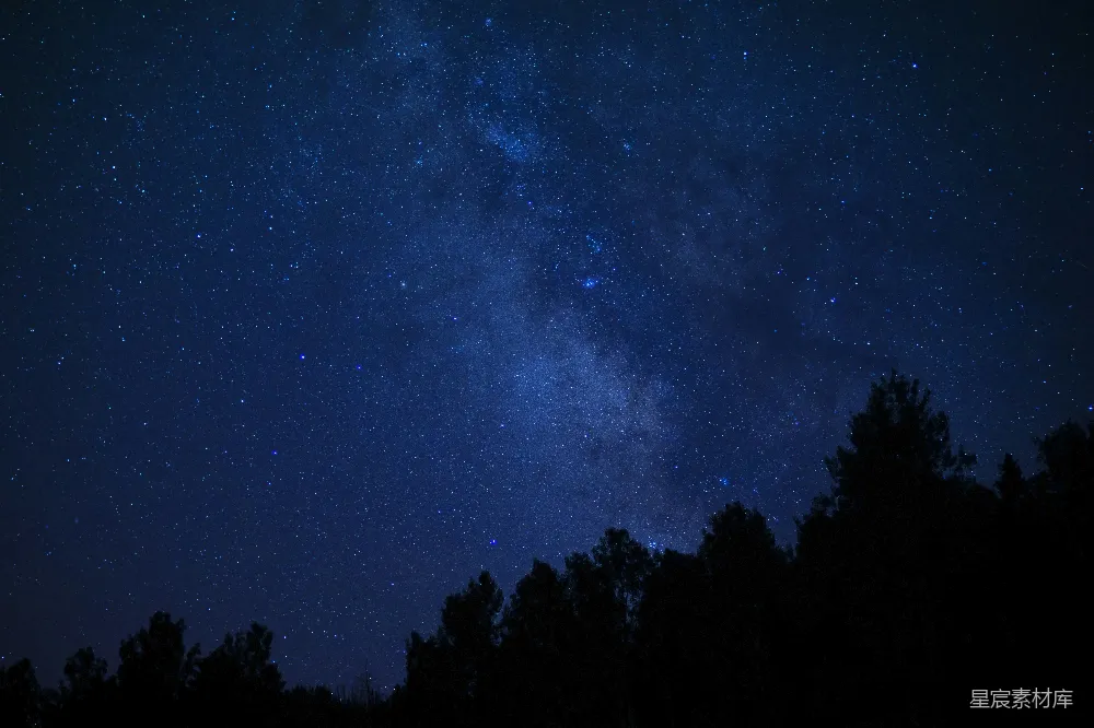 高清摄影 自然 在夜空中，蓝天下树木的剪影