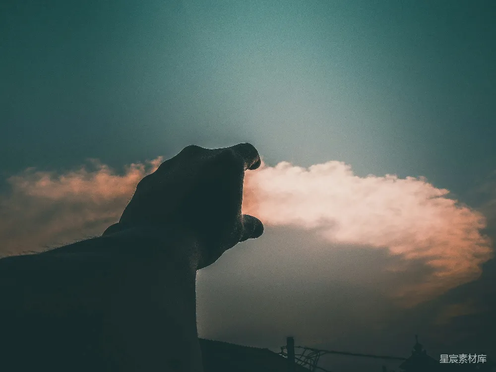 高清摄影  一座大熊雕像矗立在多云的天空前。