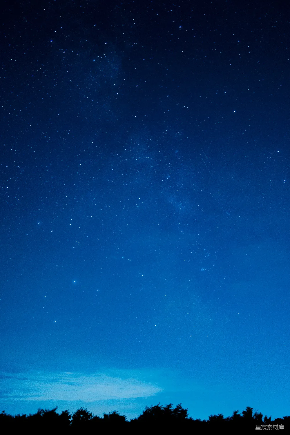 高清摄影  夜空中满是星星和树木。