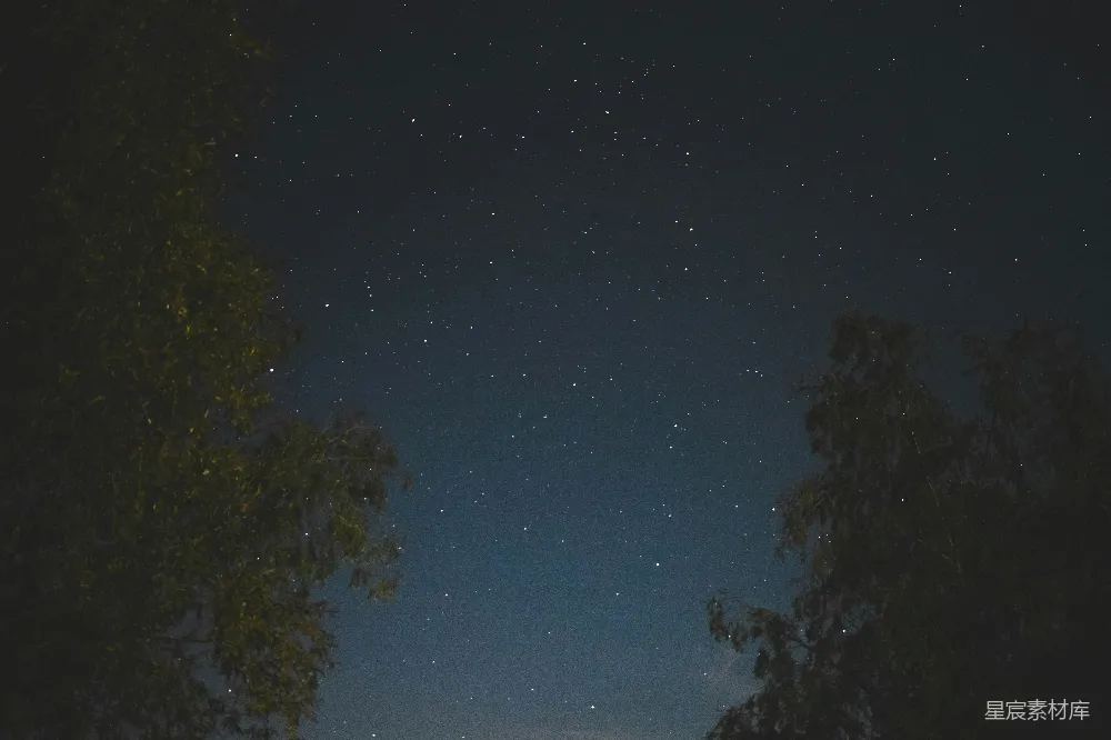 高清摄影  树和天上的星星