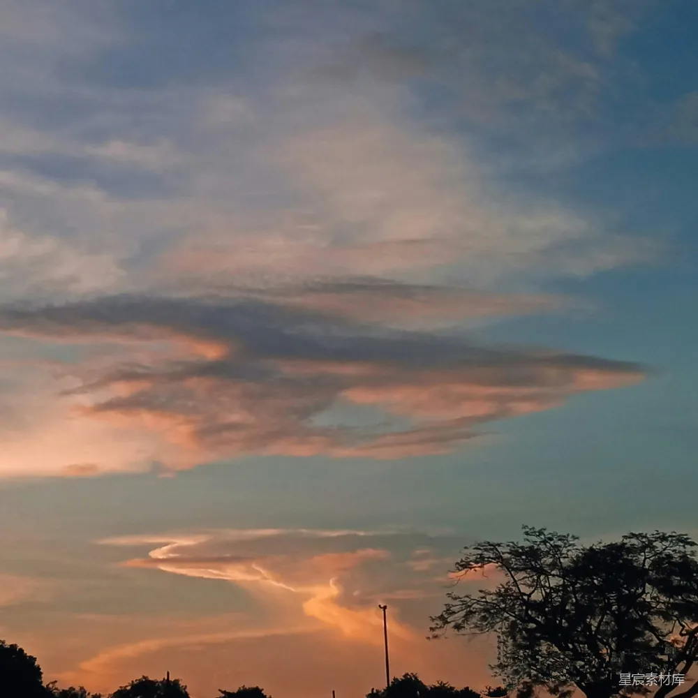 高清摄影 自然 夕阳西下，天空中有云彩，前景是树木。