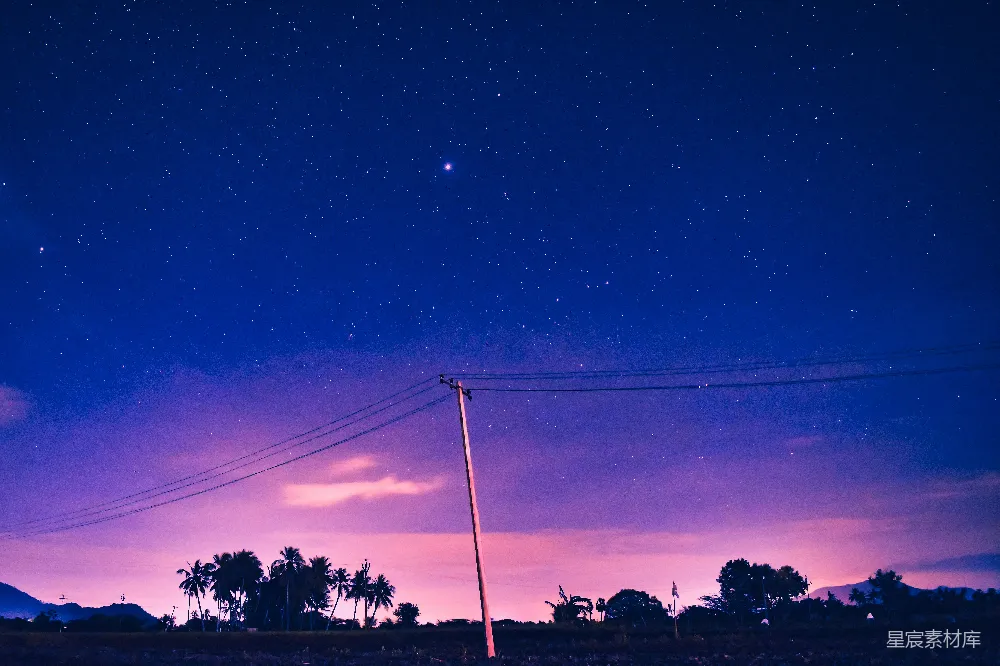 高清摄影  在蓝天下的夜晚，树木剪影
