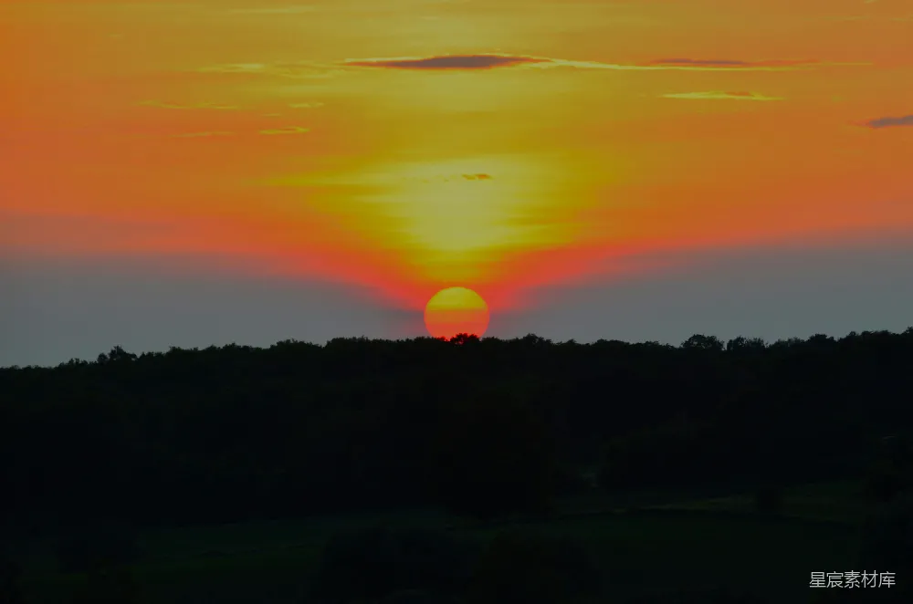 高清摄影  夕阳正洒落在远处的树木上。