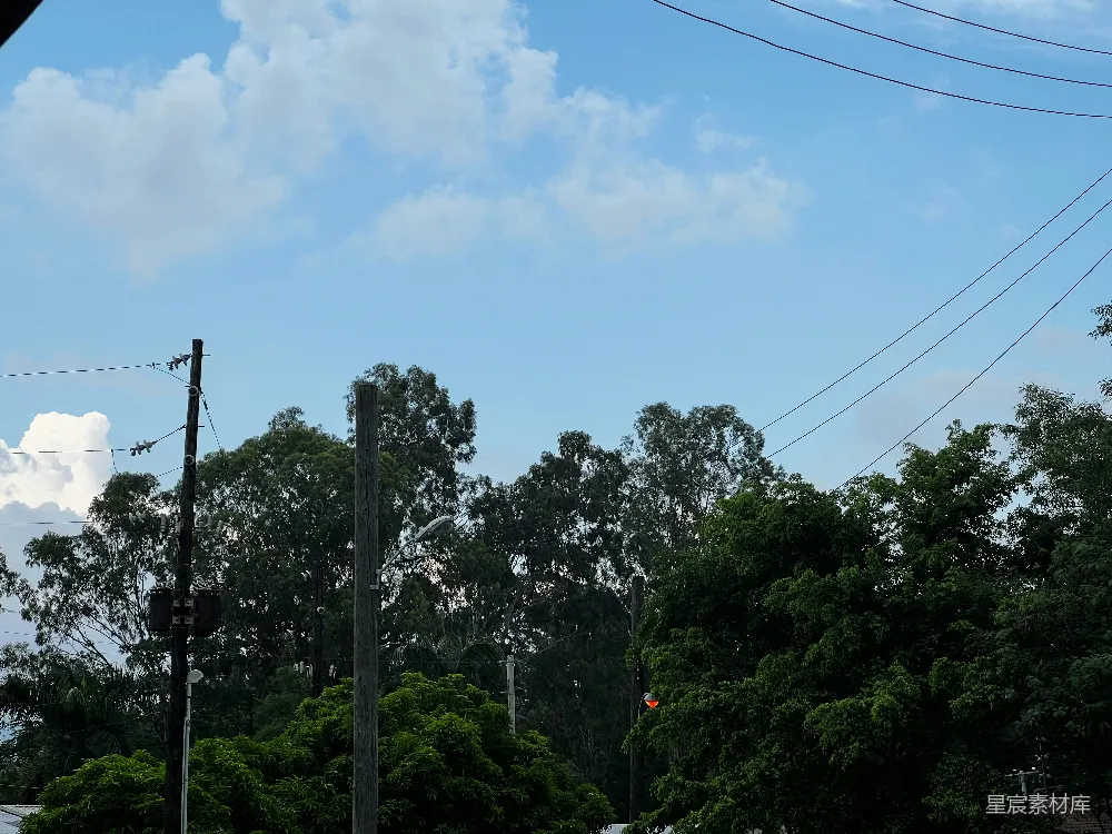高清摄影  街道上的一盏交通灯，背景是树木。