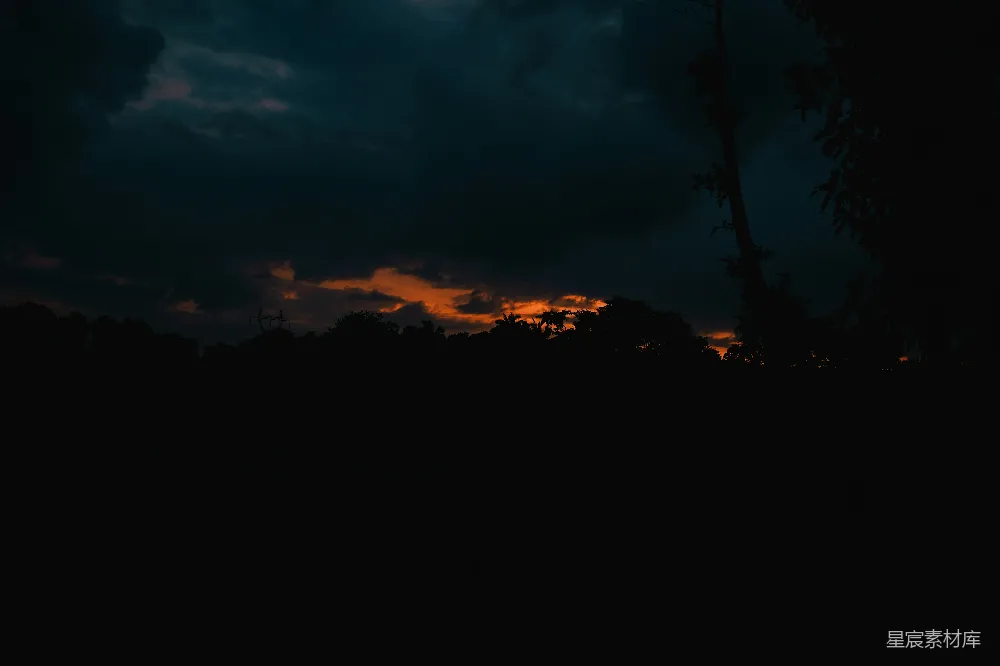高清摄影  夕阳照耀着森林
