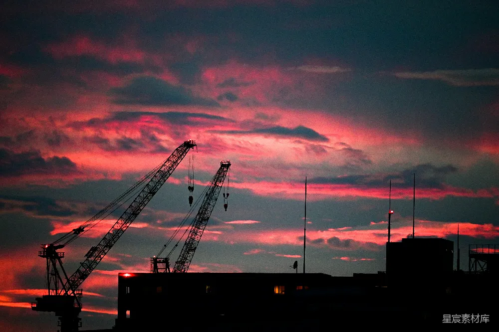 高清摄影  夕阳下鹤的剪影