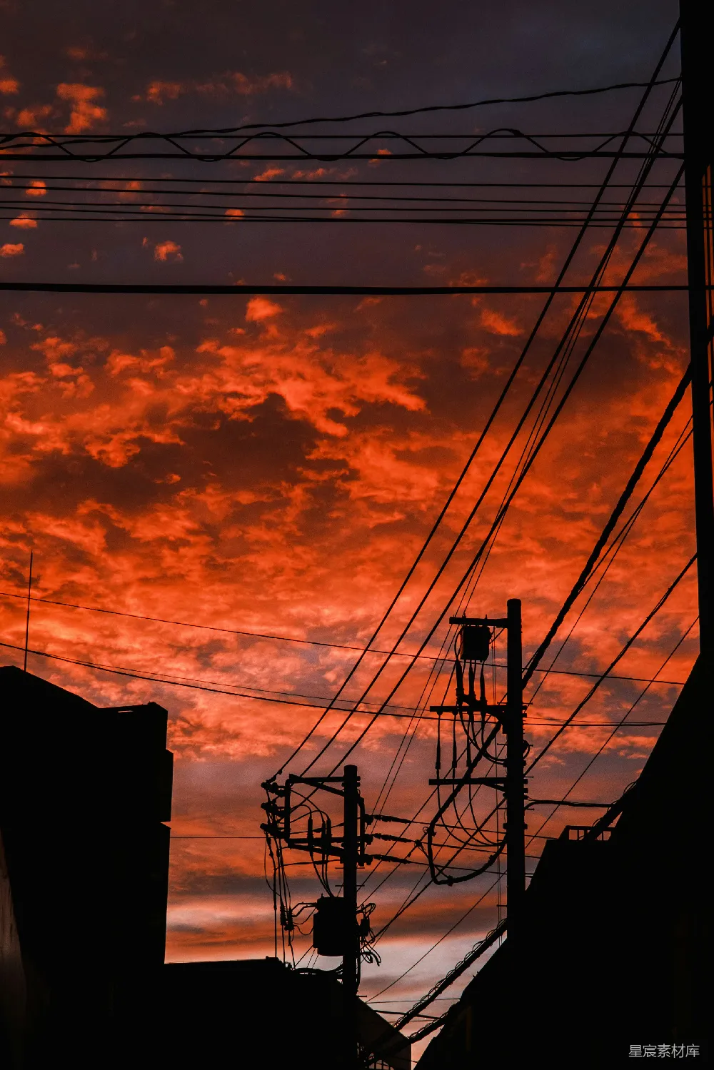 高清摄影  夕阳映红的天空下，剪影般的建筑物和输电线。