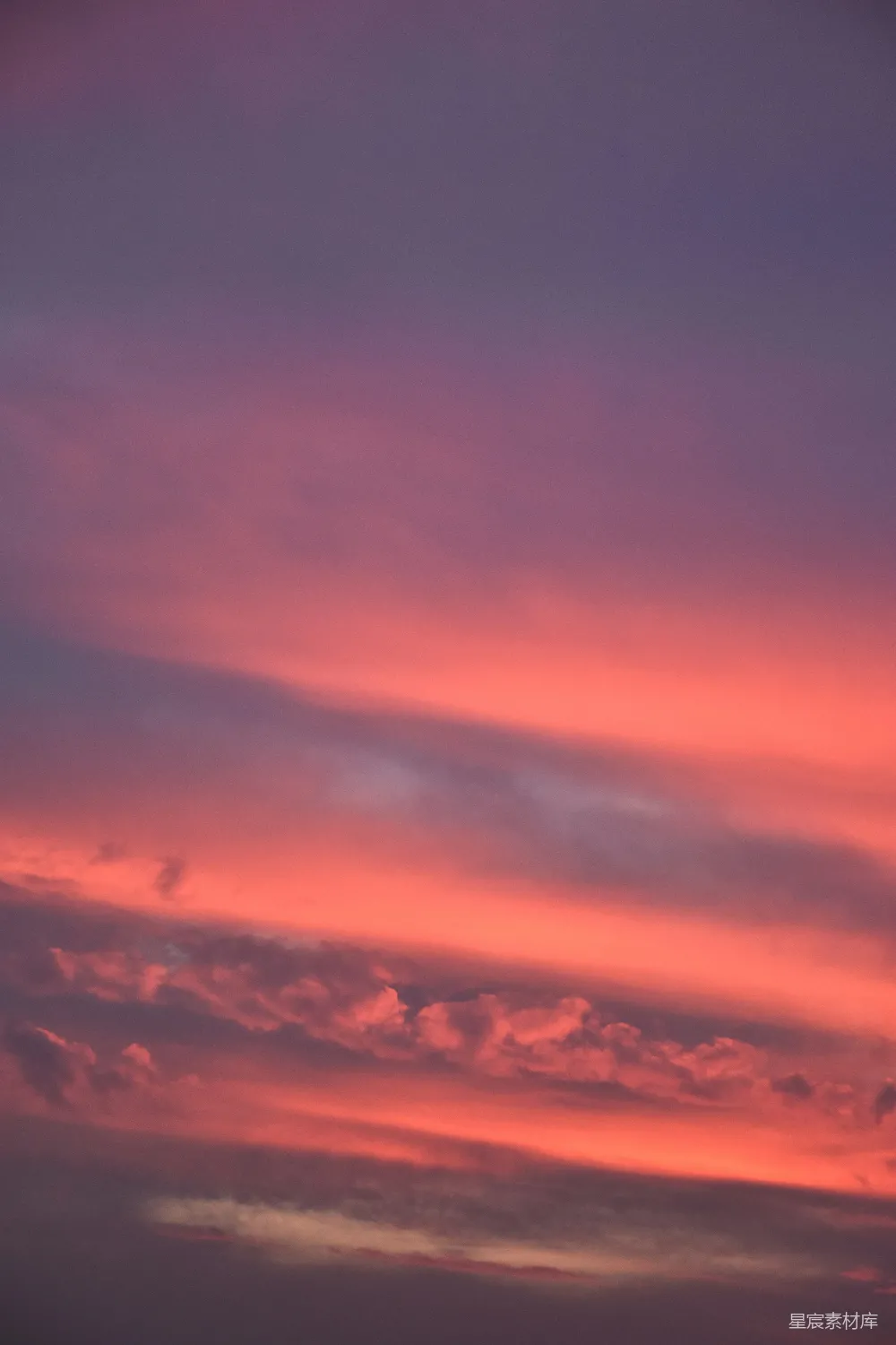 高清摄影 自然 壁纸 一架飞机在夕阳下飞行