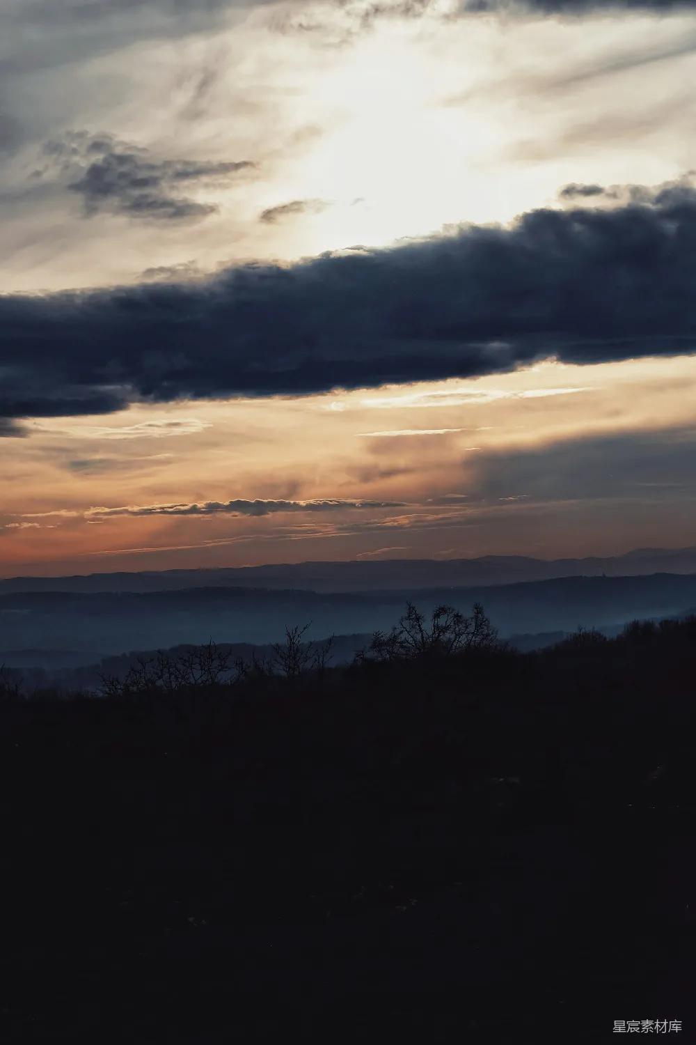 高清摄影  夕阳西下时，云层低垂下的树木剪影