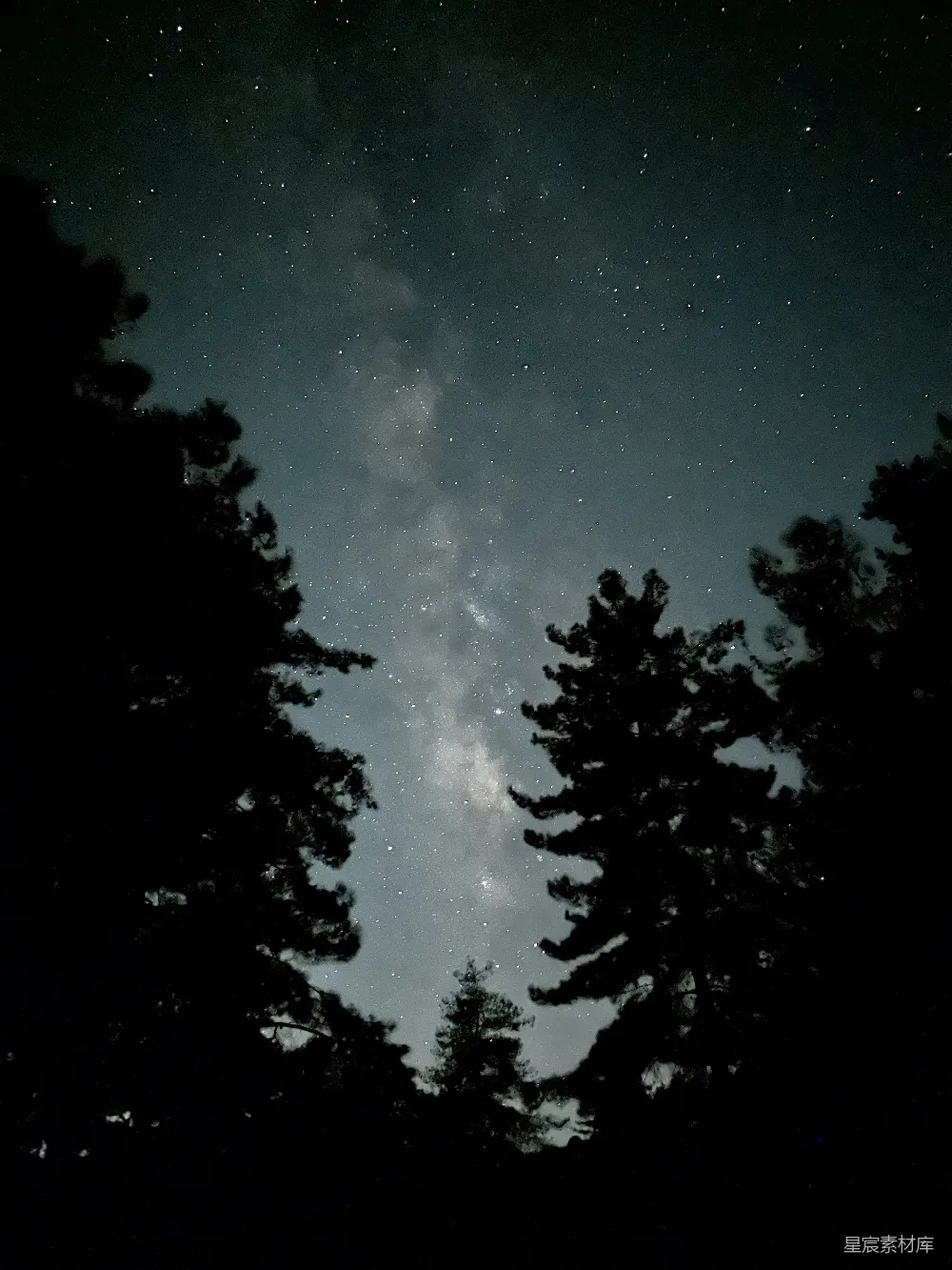 高清摄影  一个星空满天的夜晚，树木繁茂。