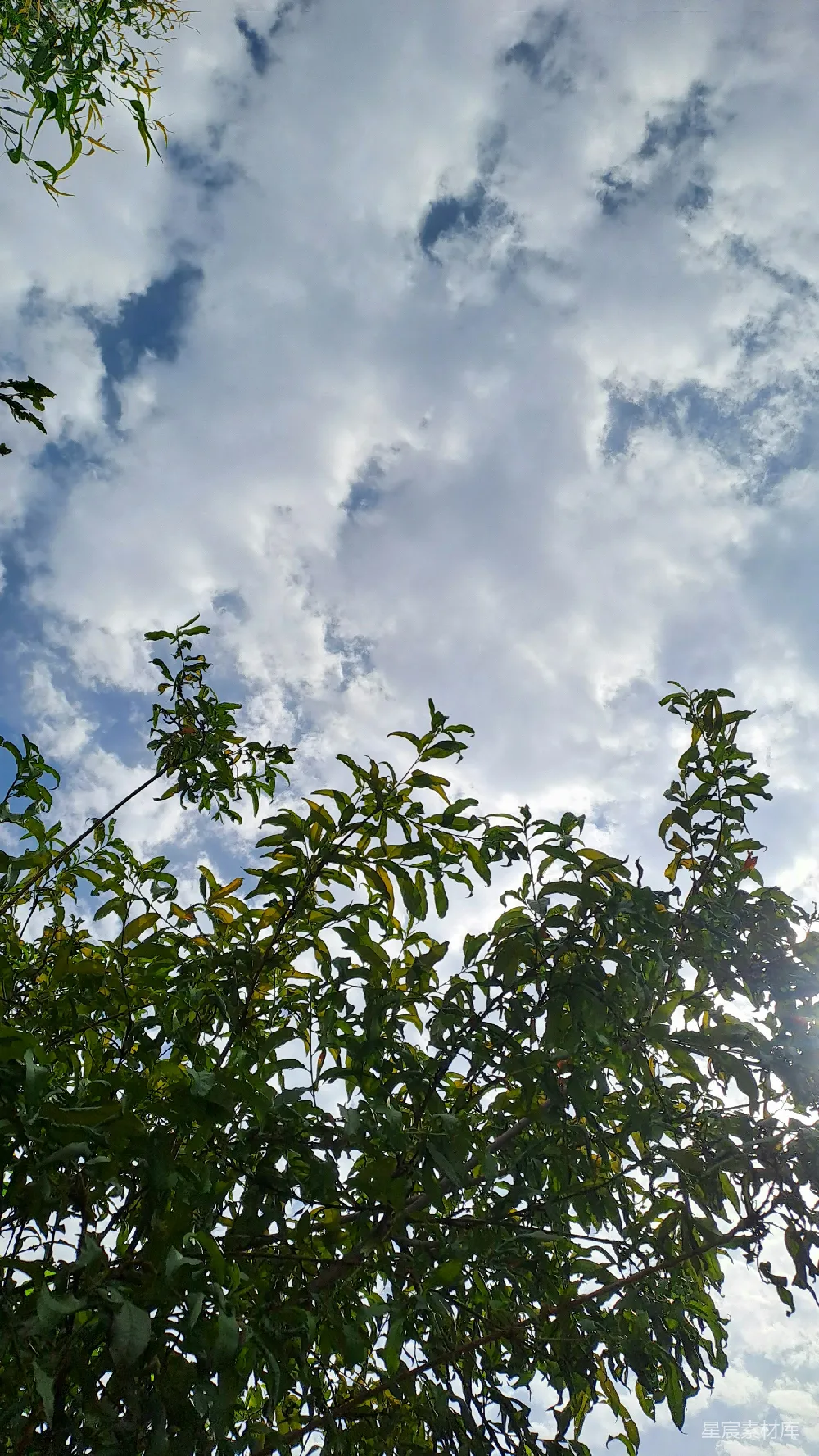 高清摄影  太阳透过云层照耀在天空中。