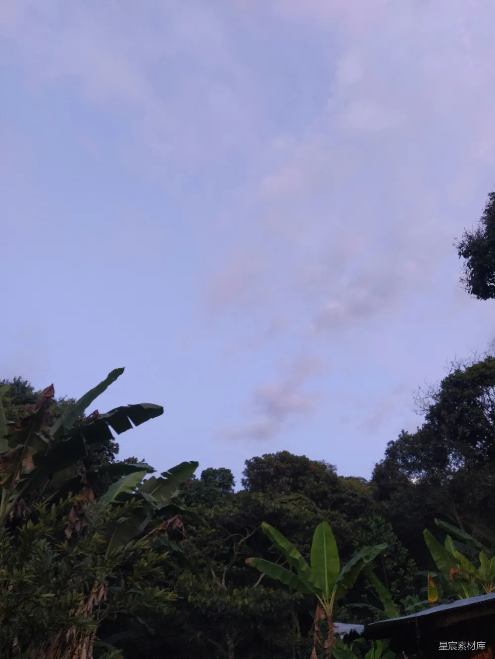 高清摄影  蓝天上飘着几朵云，下面有一些树木。