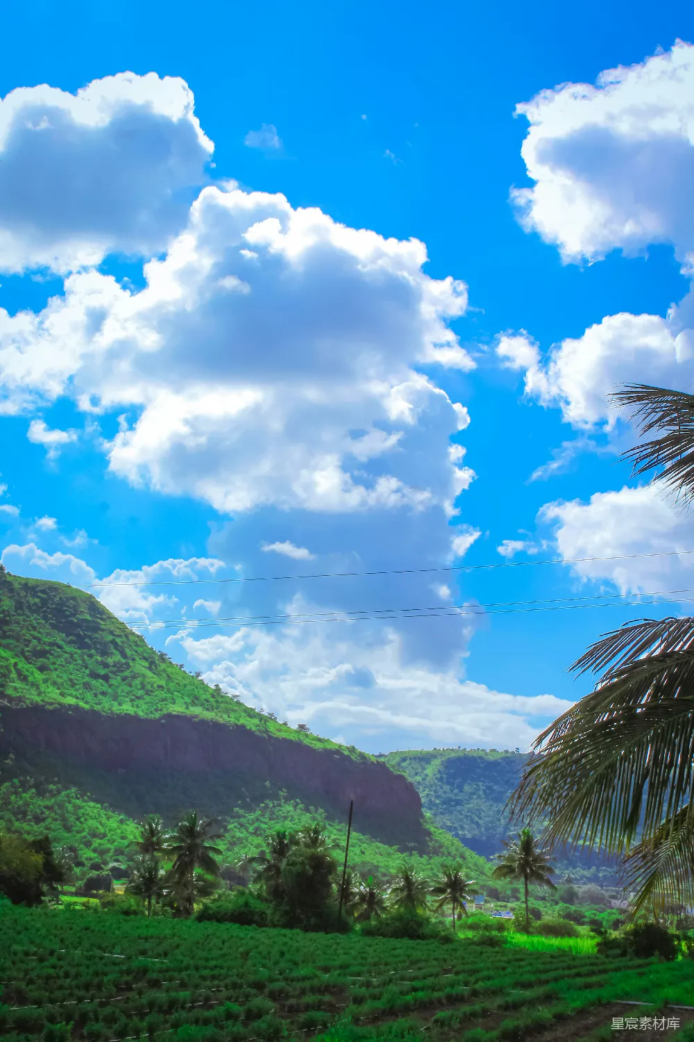 高清摄影  一幅有树木和山脉的风景图