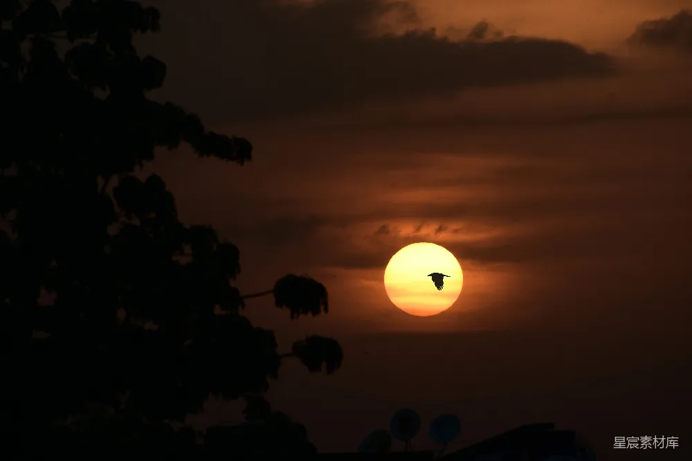 高清摄影  夕阳西下，云后有太阳
