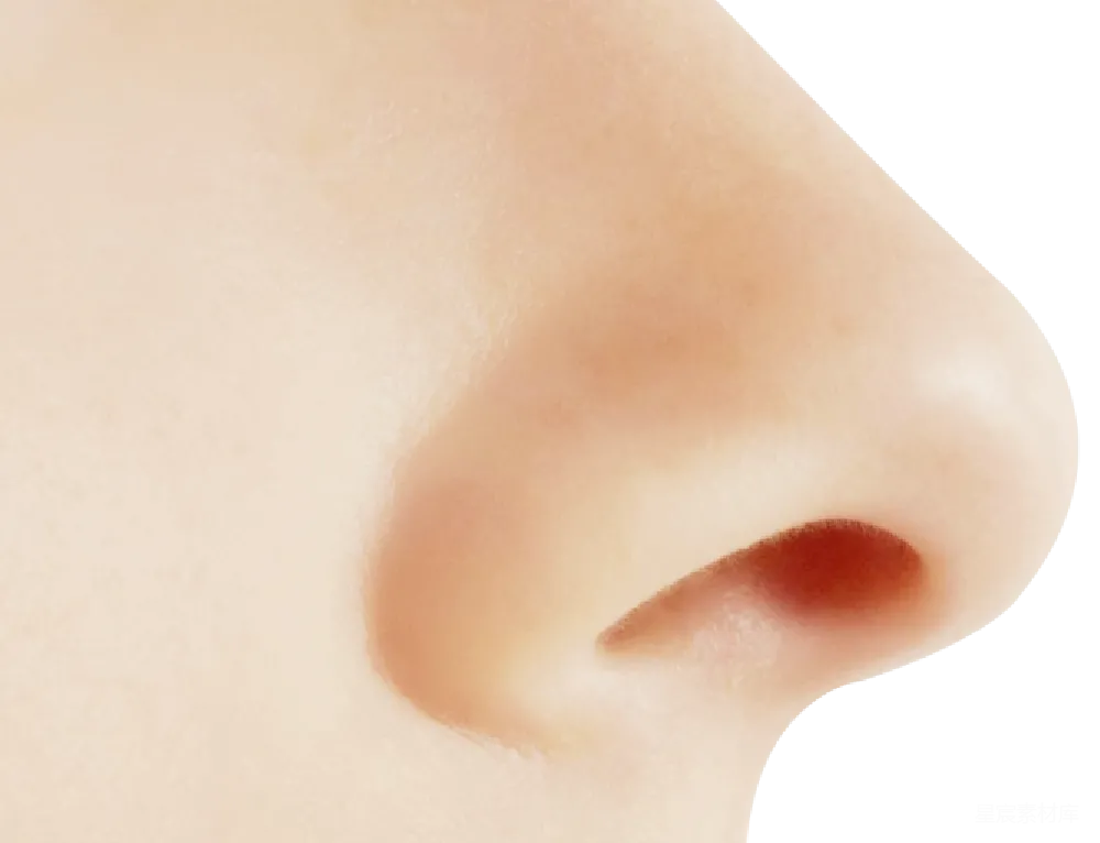 元素素材 人体 皮肤 解剖学 人体局部特写：鼻子