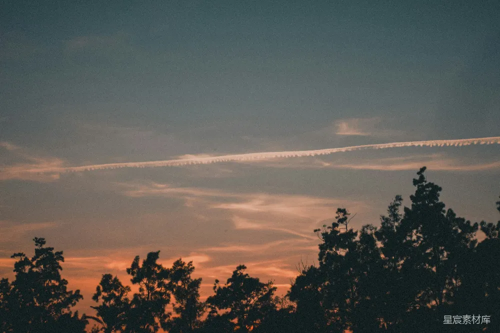 高清摄影  橙色和蓝色的夕阳天空，映衬着深色的树木剪影。
