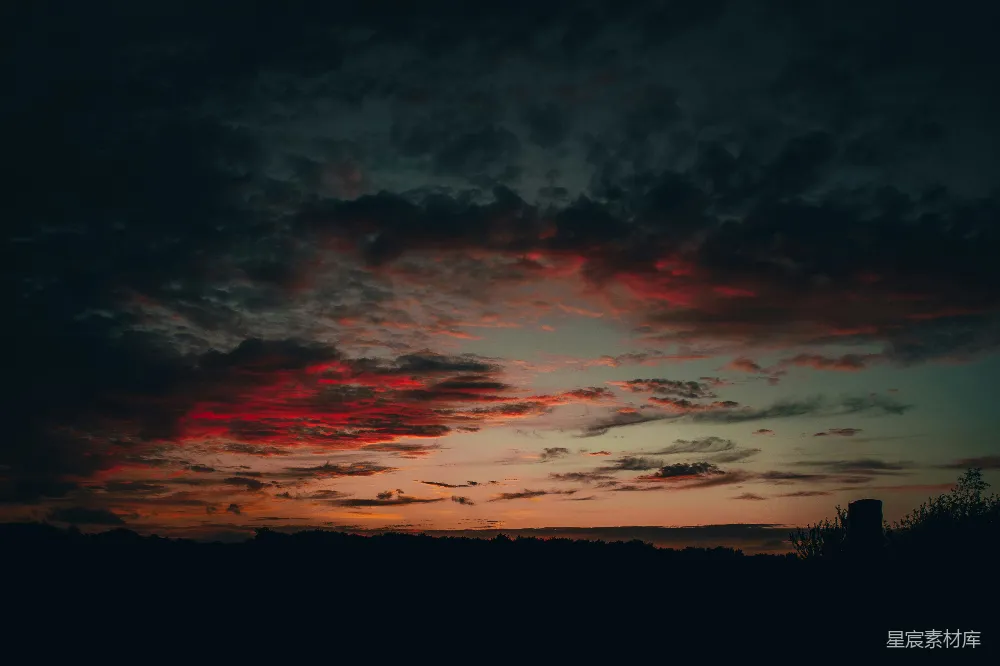 高清摄影  夕阳下树木的剪影