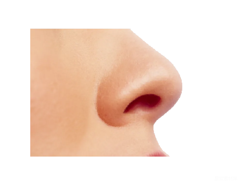 元素素材 Human
