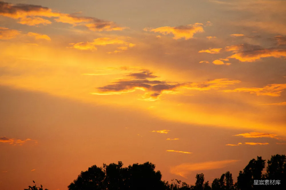 高清摄影  鲜艳的橙色和黄色的夕阳天空，背景中有黑色的树的剪影。