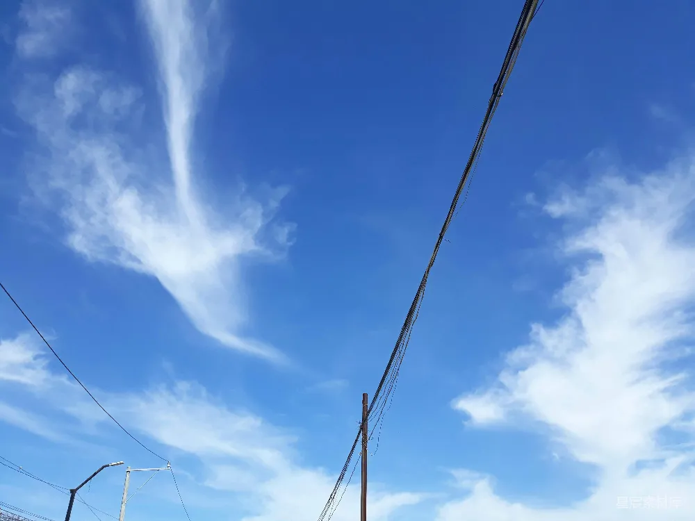 高清摄影  一组电线