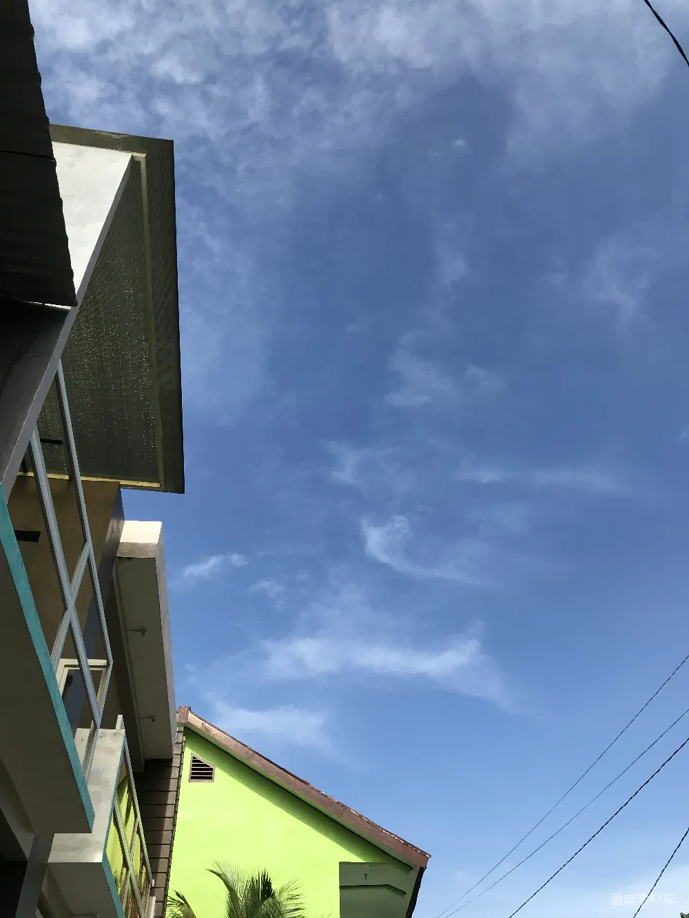 高清摄影  一座绿色的建筑，前面有一棵棕榈树。