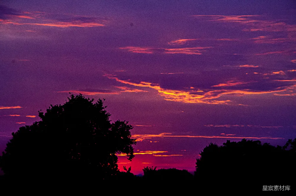 高清摄影  夕阳正在远处的树林上落下。