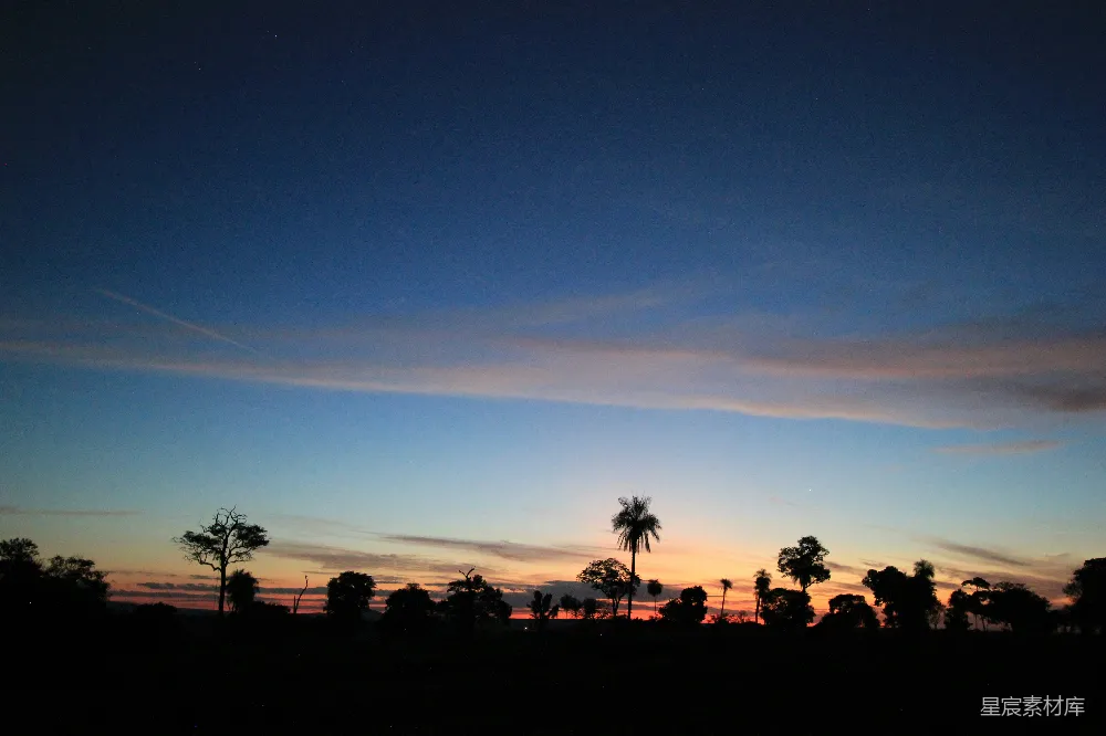 高清摄影  夕阳下，人们站在树旁的剪影。