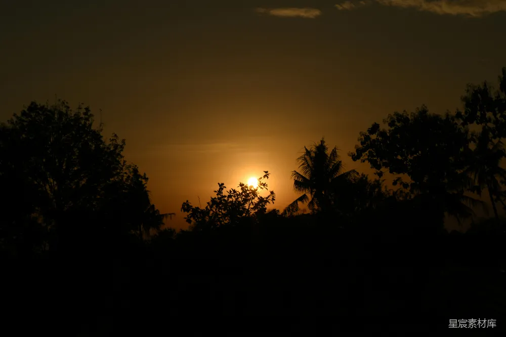 高清摄影  夕阳正挂在树梢后面。