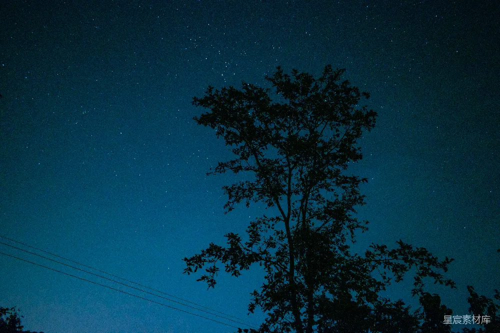 高清摄影  夜空中的星星照耀着一棵树