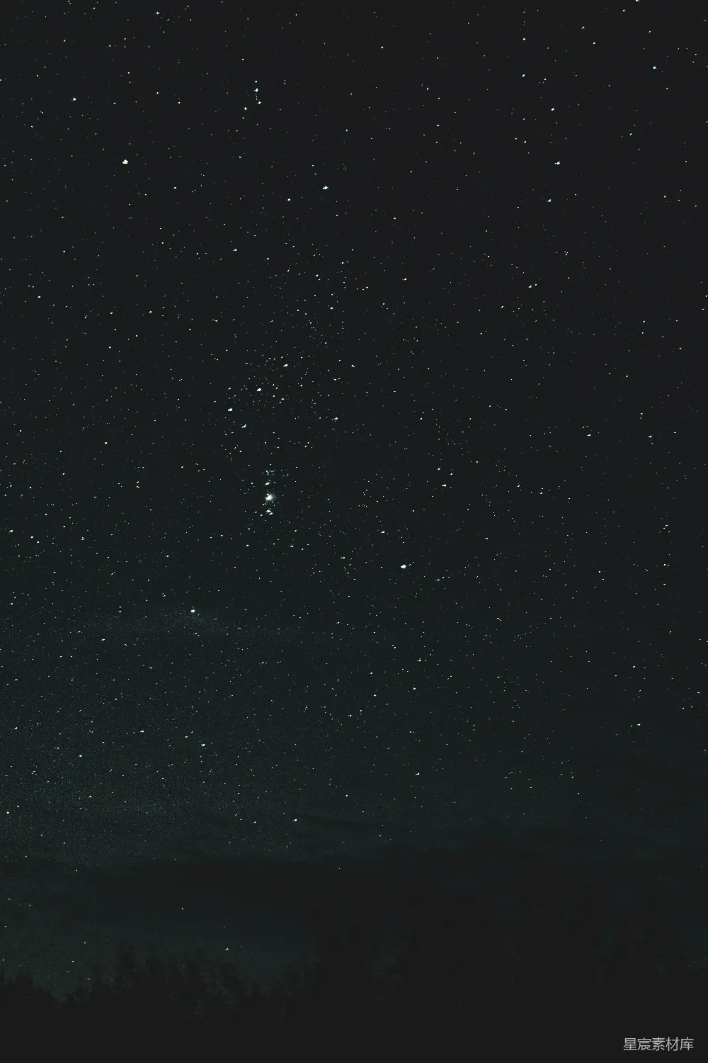 高清摄影  夜空中布满了星星和树木。
