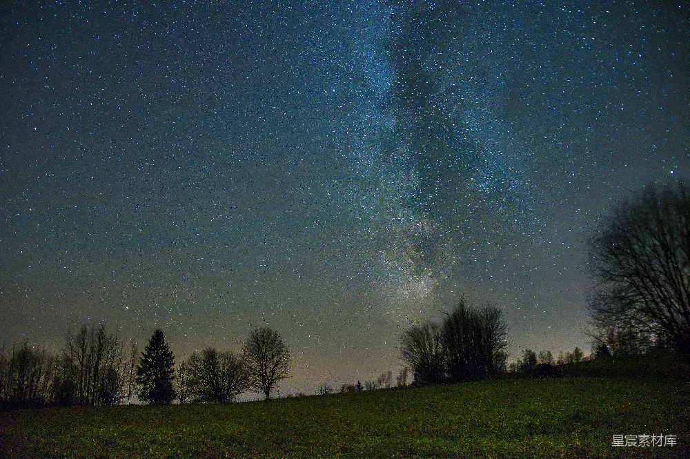 高清摄影 旅行 自然 壁纸 夜空中有星星和前景中的树木。