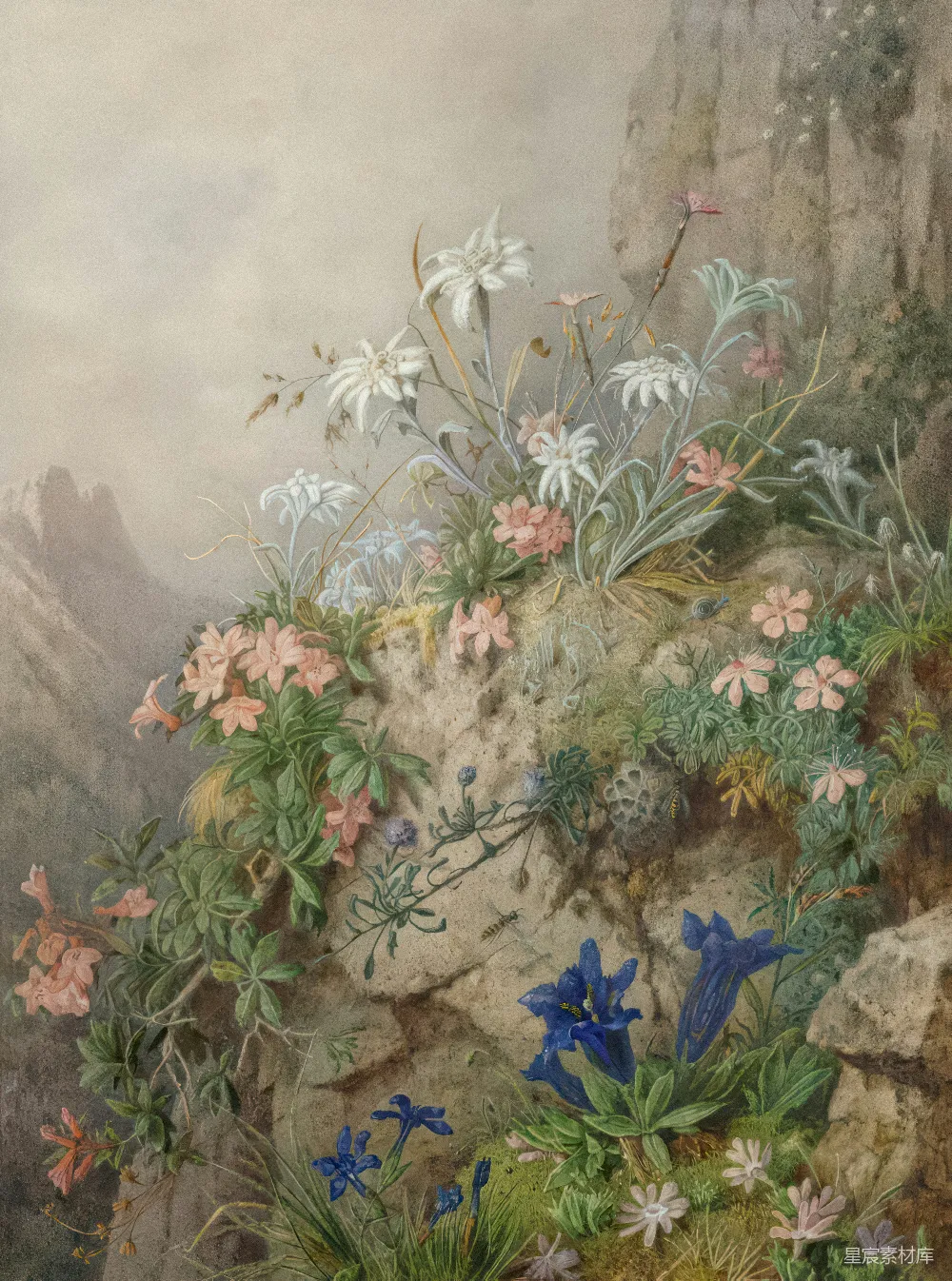 高清摄影  一幅在岩石悬崖上的花卉画作