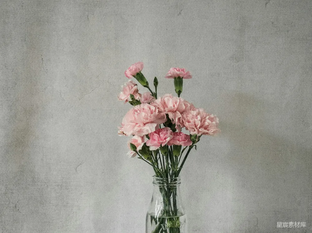 高清摄影 壁纸 粉红色的花朵在透明玻璃花瓶中