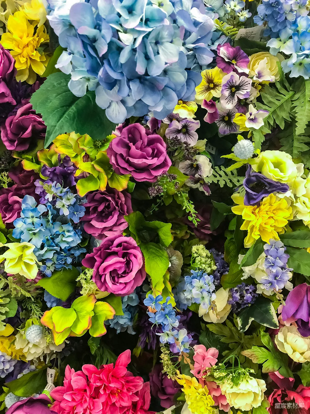 高清摄影  各种各样的花