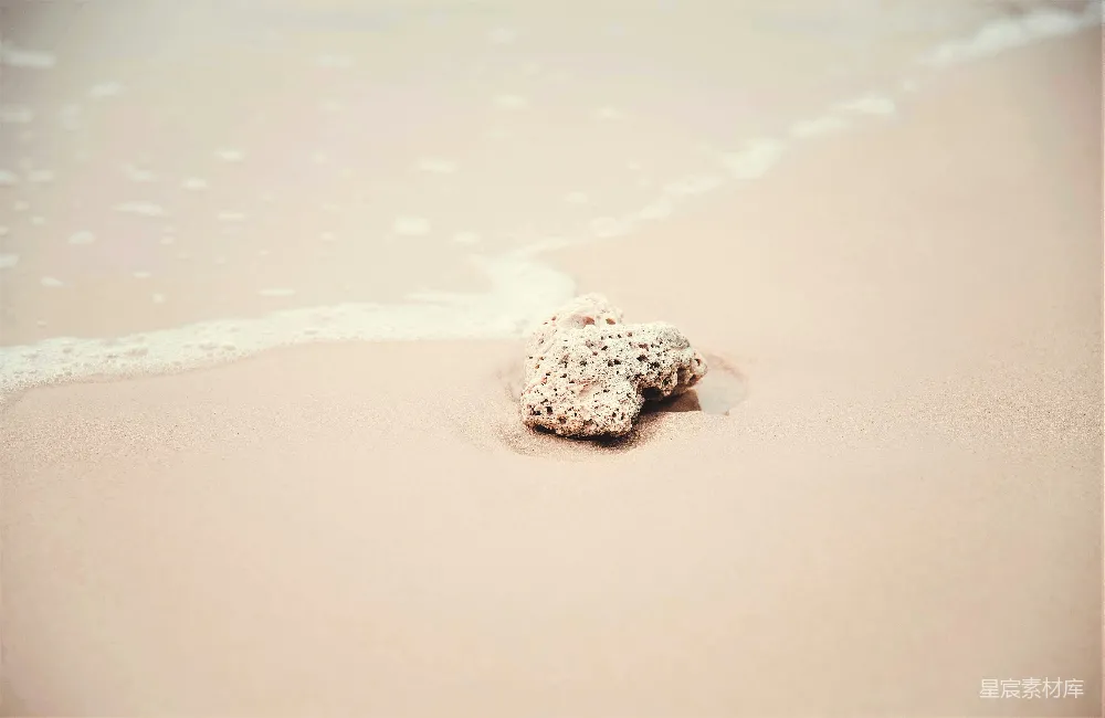 高清摄影  海贝壳在海边