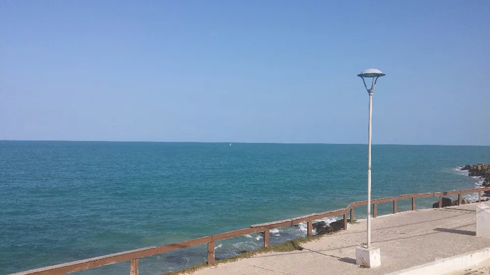 高清摄影  路边的路灯，靠近海洋。