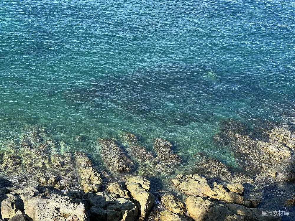 高清摄影  几个在水里划着冲浪板的人