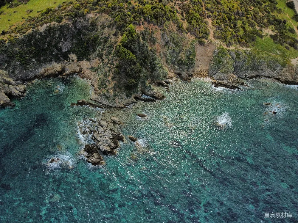 高清摄影  岩石海滩上有树木