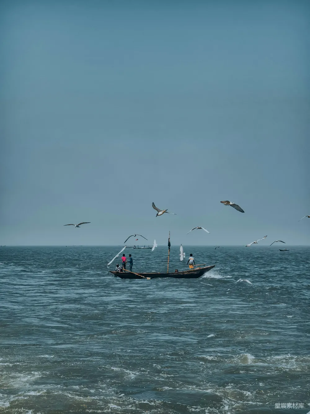 高清摄影  一艘船漂浮在海洋中央，海鸥在周围飞舞。