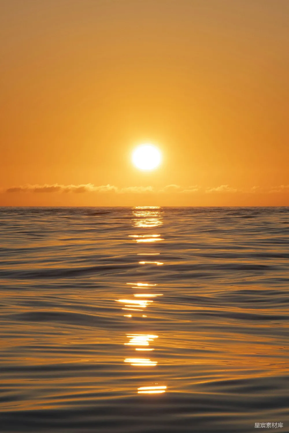 高清摄影  夕阳沉落，倒映在平静的水面上，呈现出金色的光辉。