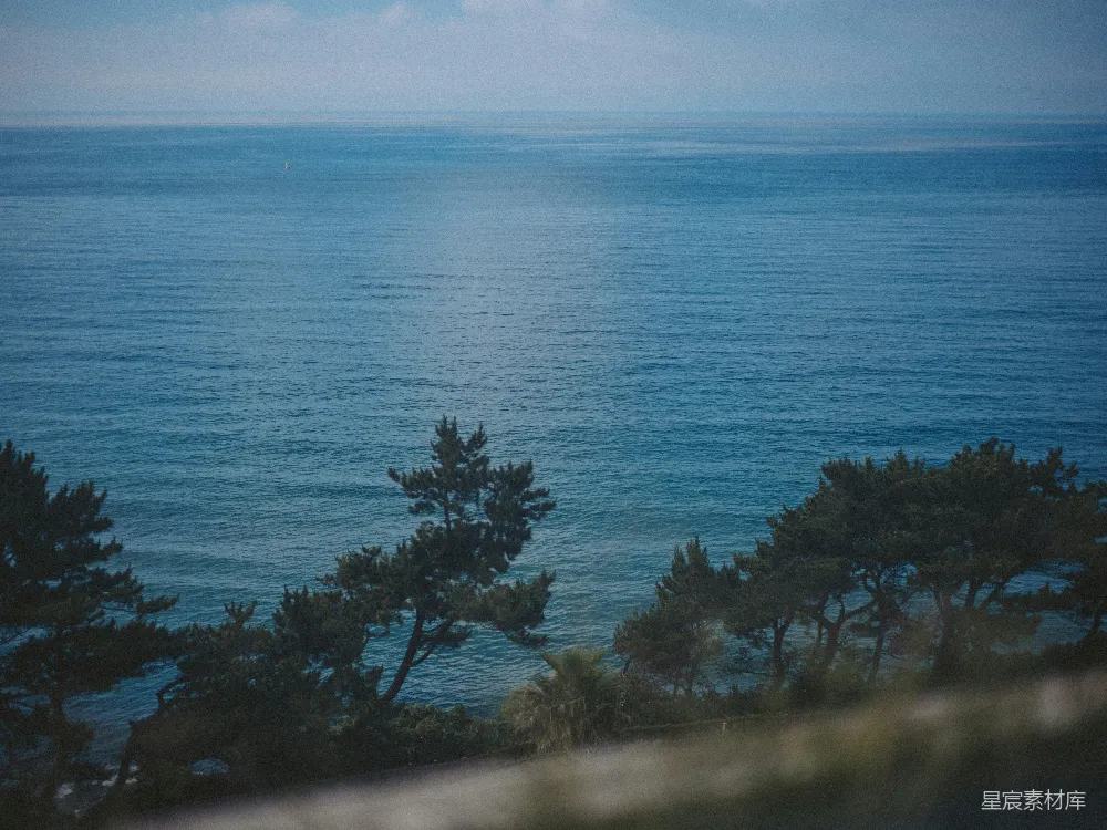 高清摄影  树木环绕的海景。