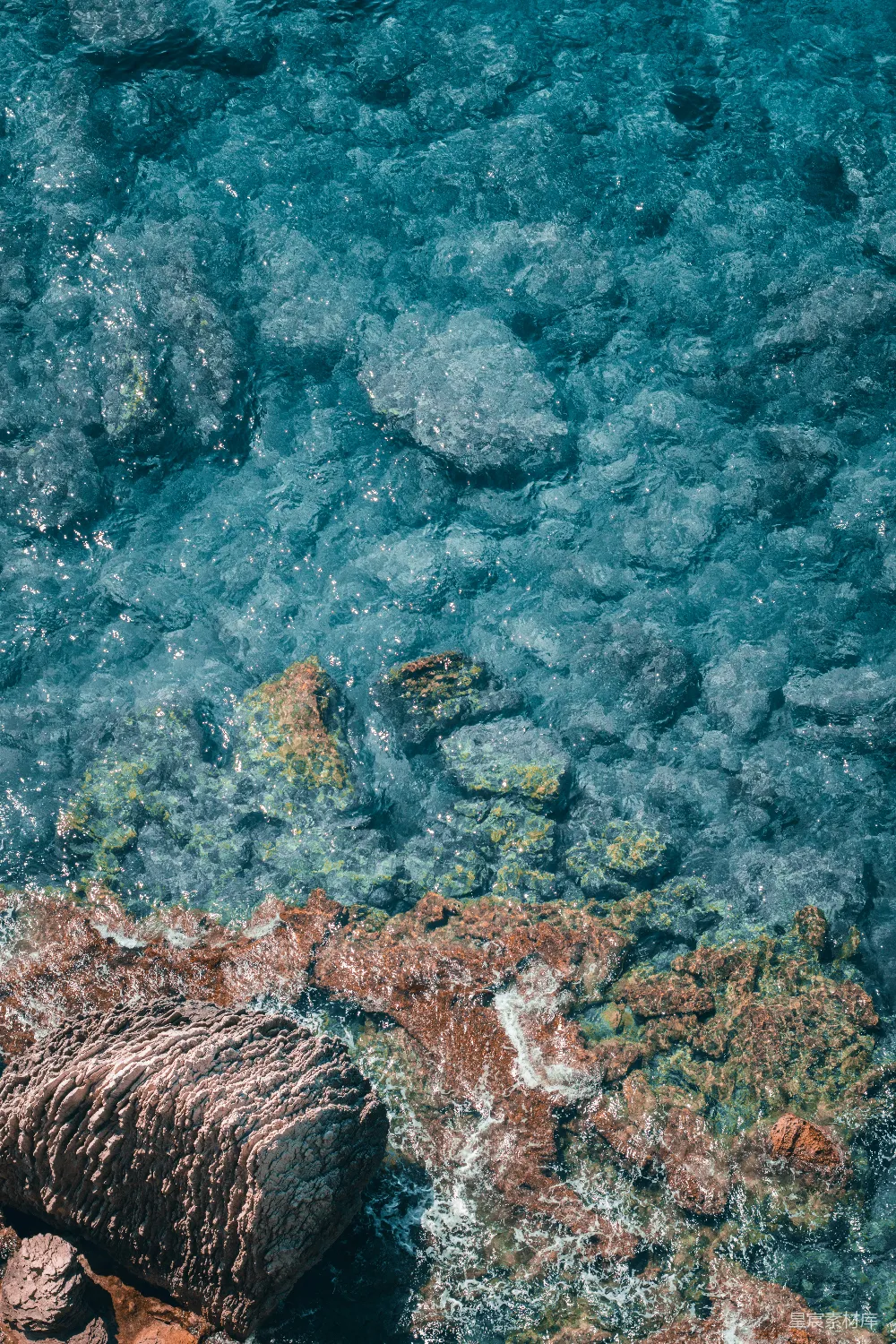 高清摄影 旅行 自然 壁纸 水下的岩石和植物